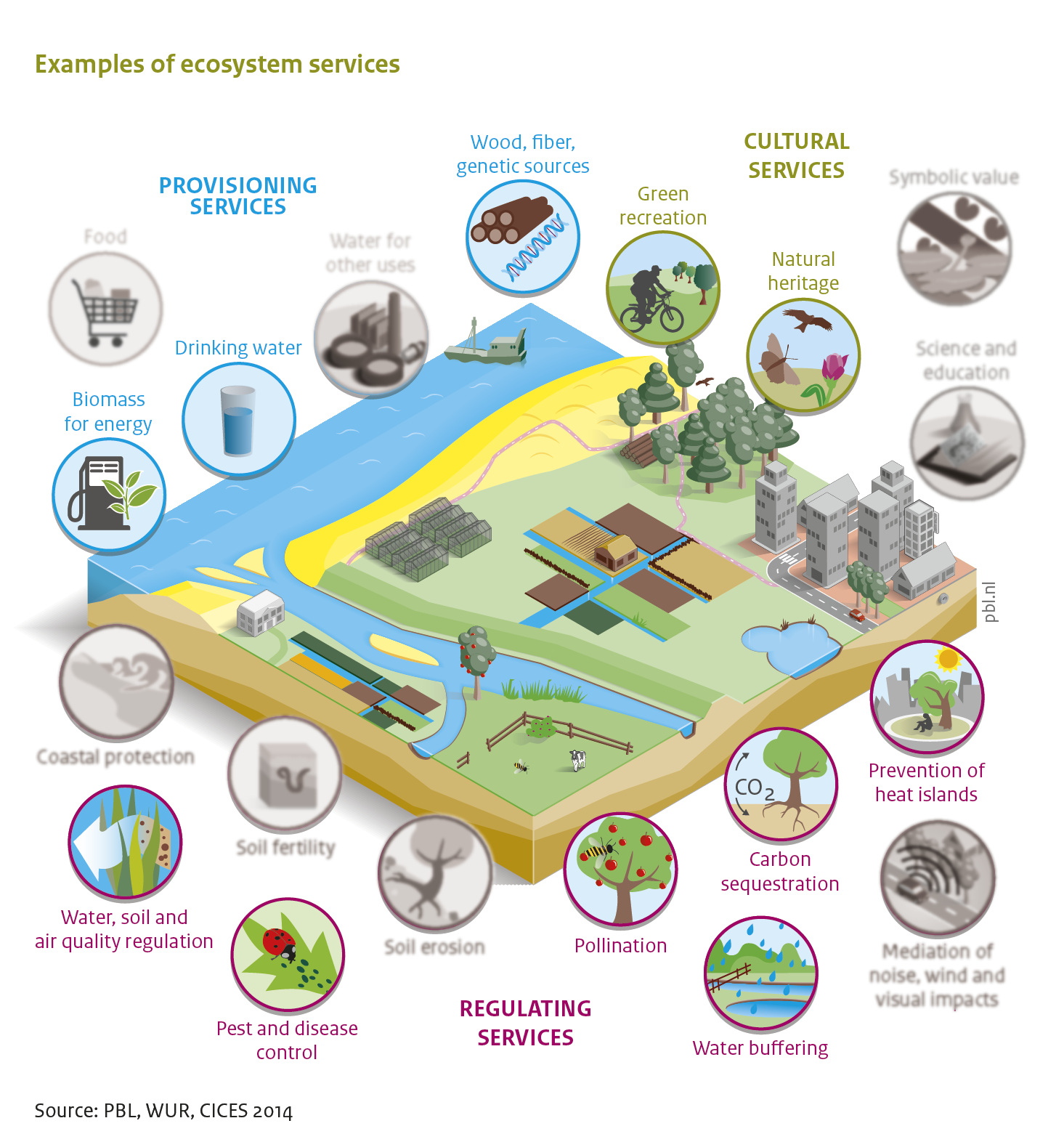 Infographic of an overview of 11 ecosystem services analysed by the Natural Capital Model. Eleven ecosystem services are analysed: three provisioning services (biomass for energy; drinking water; and wood, fiber and genetic sources) six regulating services (water, soil and air quality regulation; pest and disease control; pollination; water buffering; carbon sequestration; and prevention of heat islands in cities) and two cultural services (green recreation; and natural heritage).