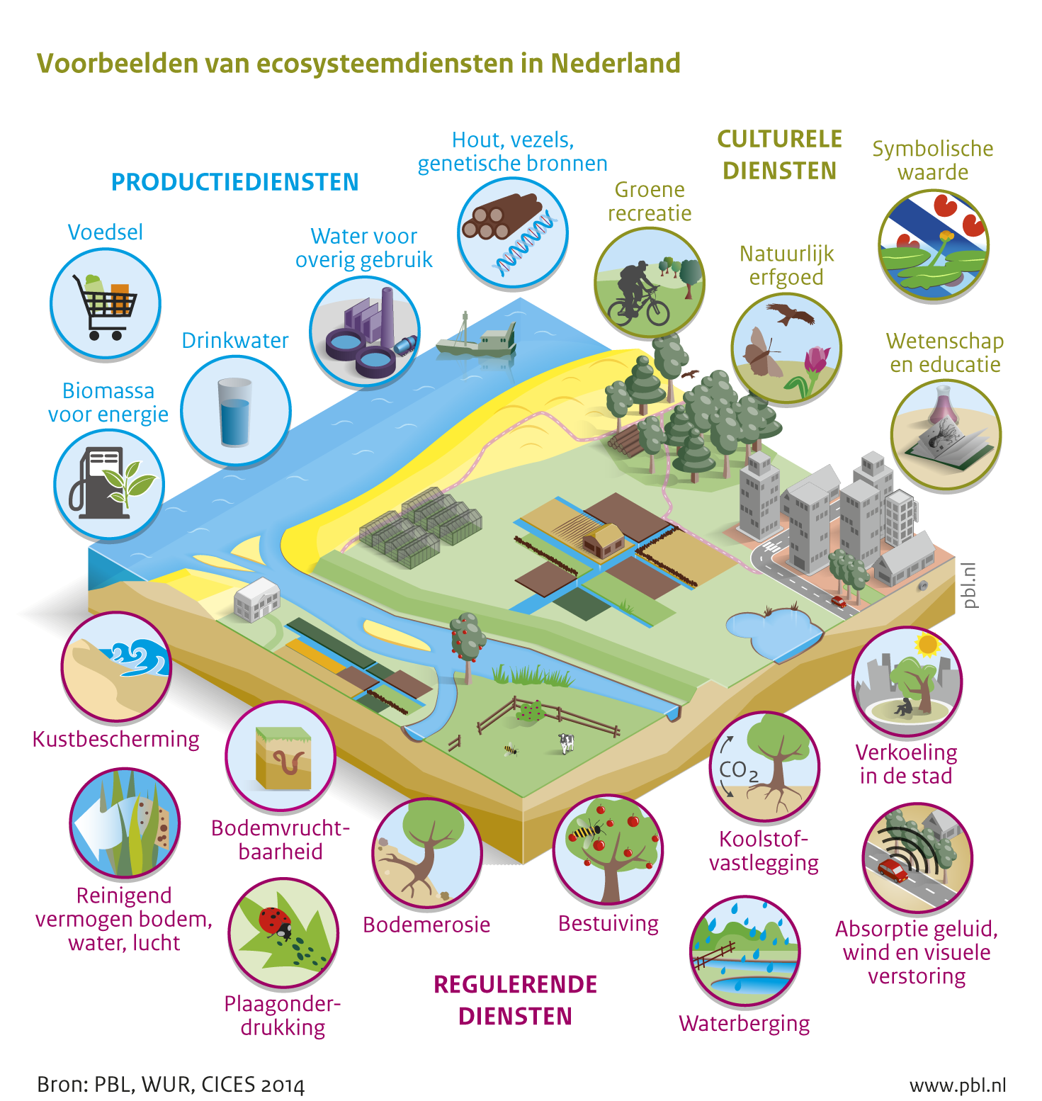 Ecosysteemdiensten in Nederland