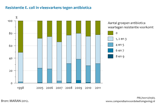 Figuur Resistentie E.coli in vleesvarkens tegen antibiotica. Steeds meer dieren dragen bacteriën met meervoudige resistentie tegen antibiotica.. In de rest van de tekst wordt deze figuur uitgebreider uitgelegd.